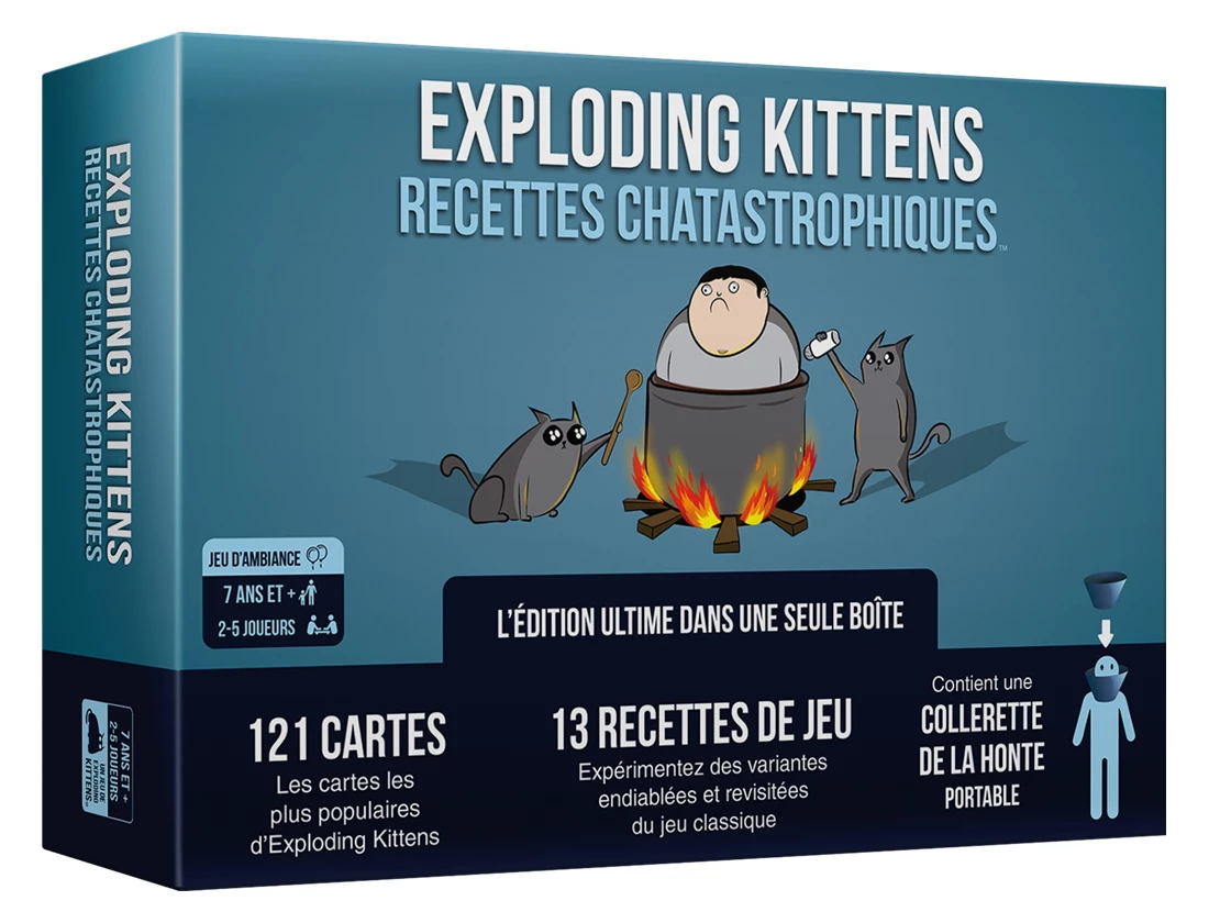 Recettes Chatastrophiques 1 Recettes Chatastrophiques